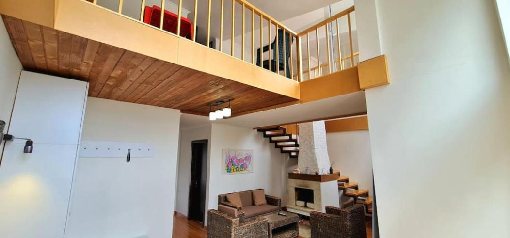 Duplex Apartment In The City Center ティビリシ エクステリア 写真