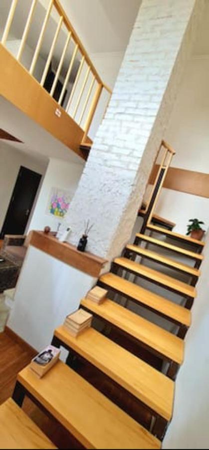 Duplex Apartment In The City Center ティビリシ エクステリア 写真